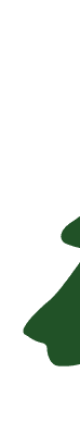 Hansen's Tree Farm