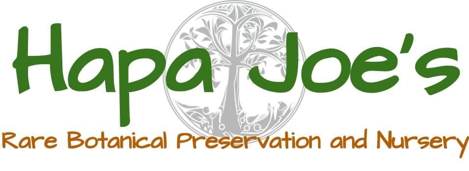 Hapa Joe's Nursery
