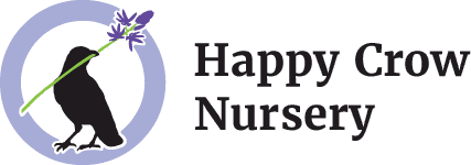 Happy Crow Nursery