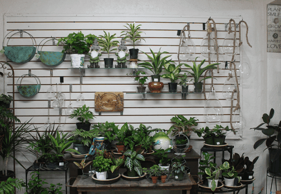 Happy Life Gardens
