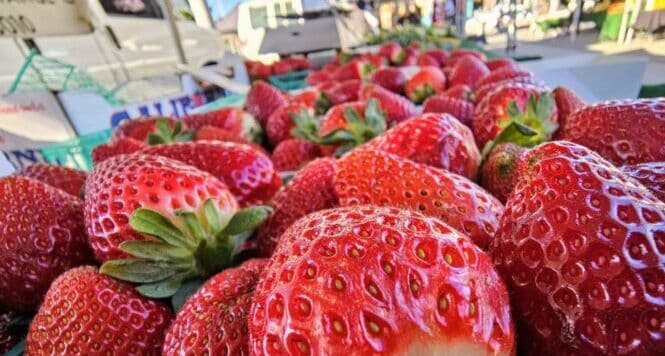 Harbor City Farmers Market by Kaiser Permanente