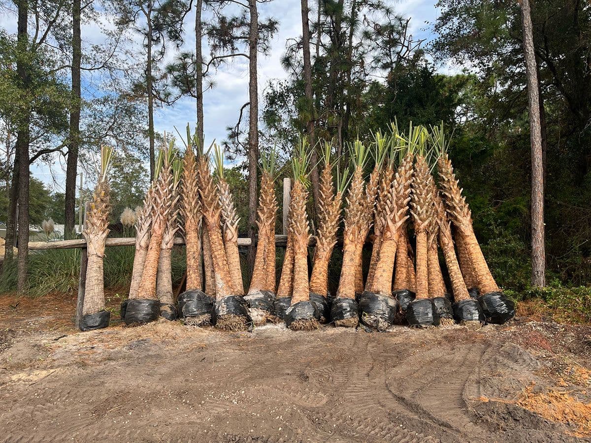 Harbortown Landscaping & Garden Center