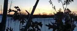Hardwood Creek Nursery