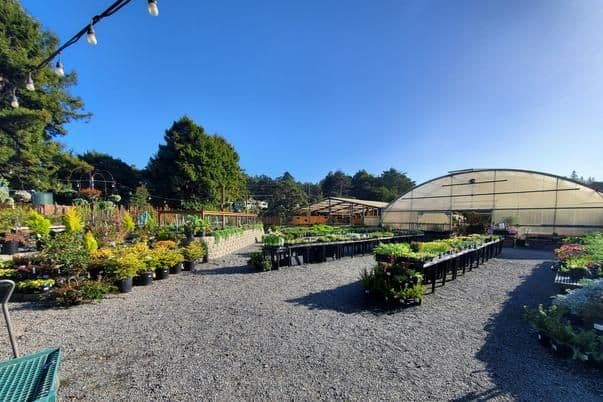 Hare Creek Nursery