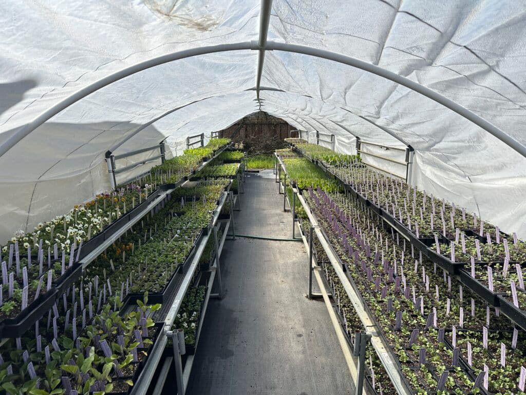 Harmony Farm Supply & Nursery - Petaluma