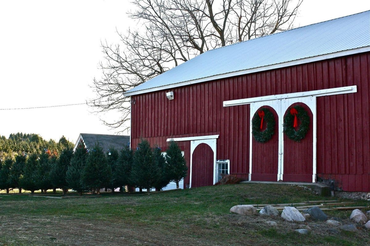 Hart Christmas Tree Farm