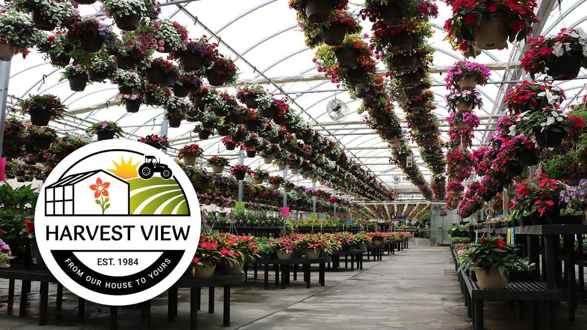 Harvest View Greenhouses, LLC