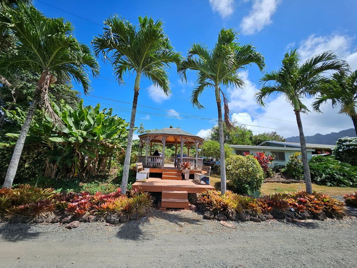 Hawaiian Sunshine Nursery