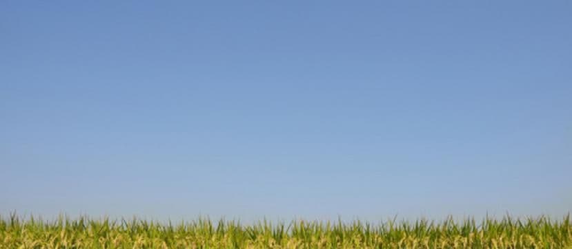 Hawkins Nursery, Inc