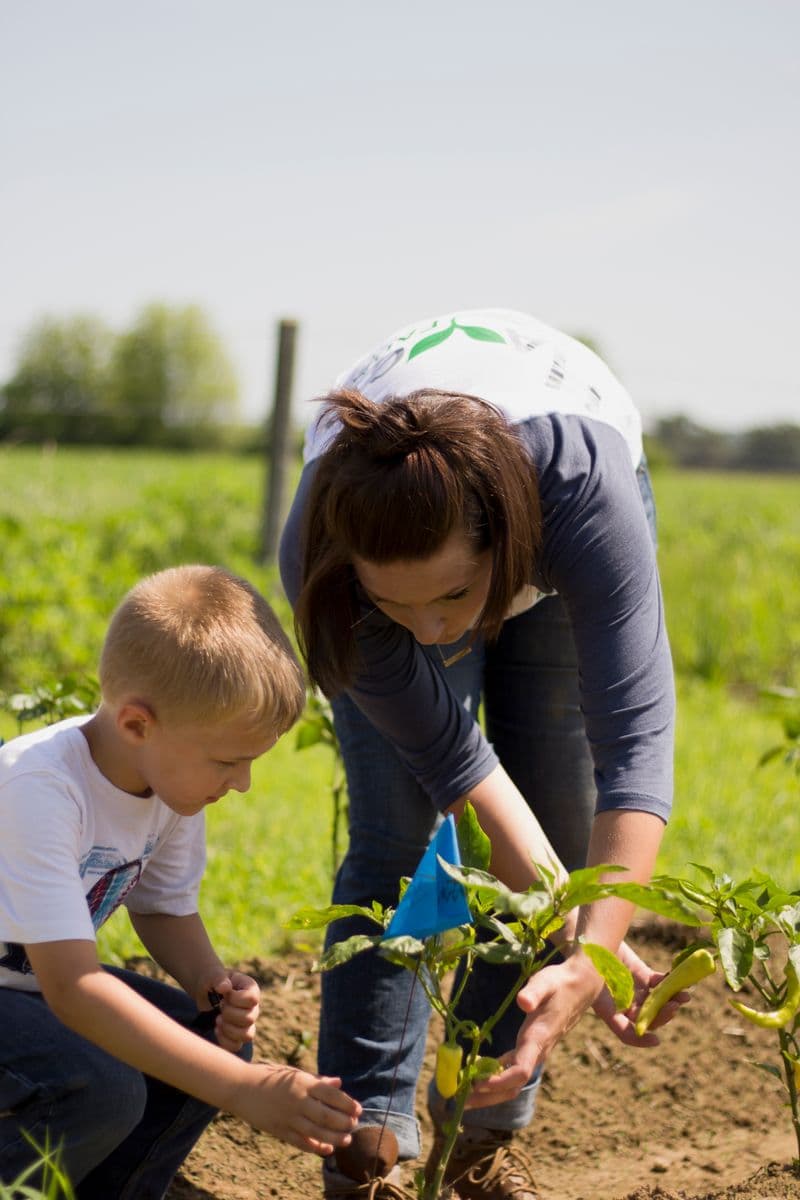 Hayco Farms