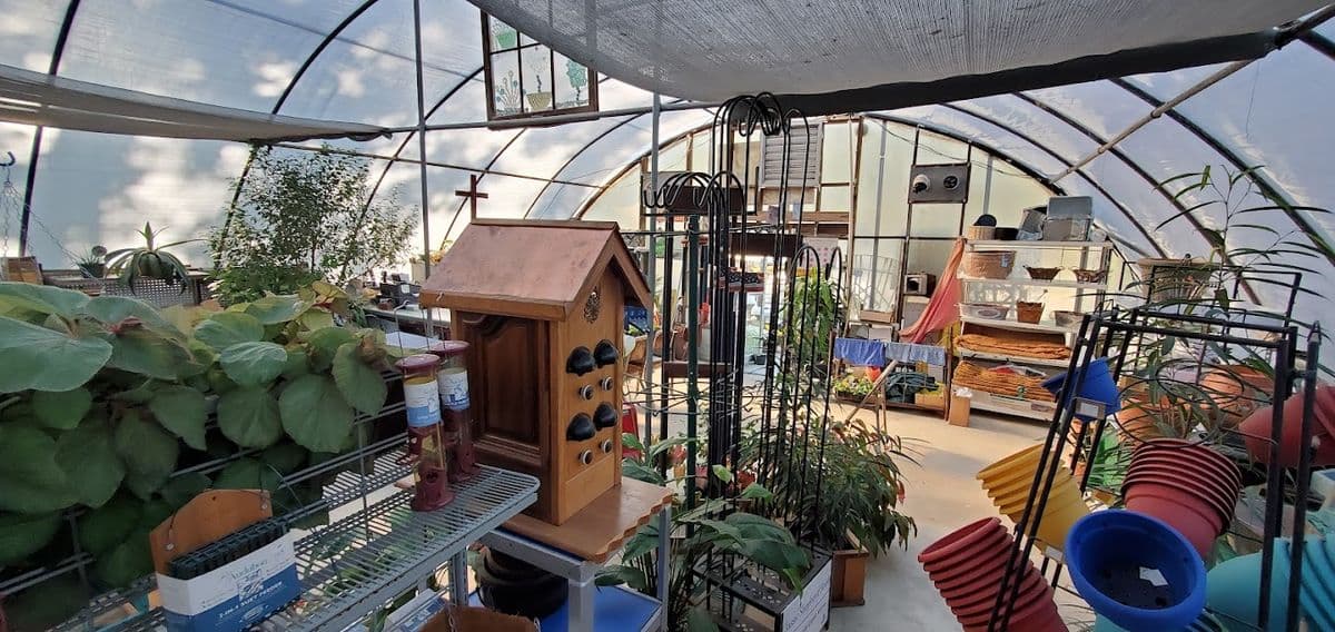 Hazelwoods Nursery-Greenhouses
