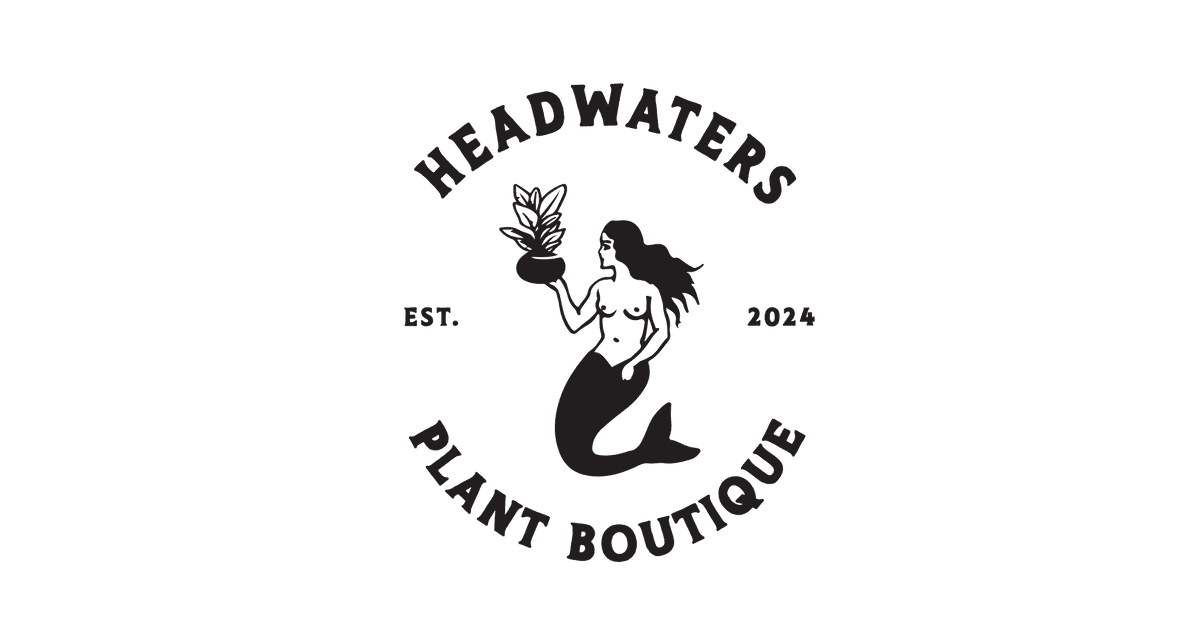 Headwaters Plant Boutique
