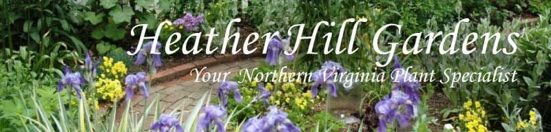 Heather Hill Gardens
