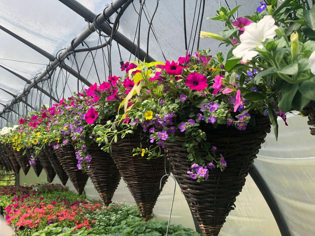 Heath's Greenhouse & Nursery