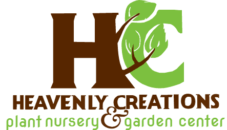 Heavenly Creations Greenhouse