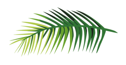 Heaven's Acres Inc. Coconut Tree Farms Corp Office