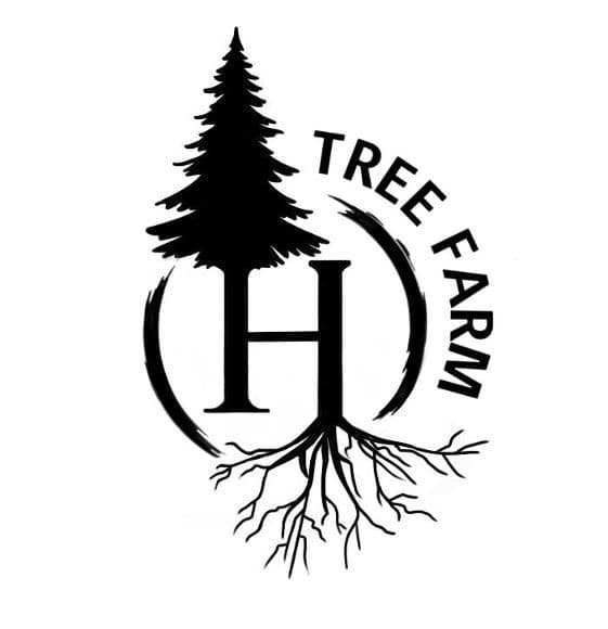 Hedlund Christmas Trees