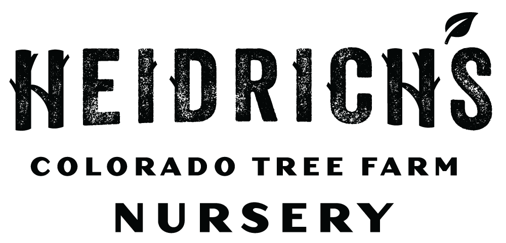 Heidrich's Colorado Tree Farm Nursery