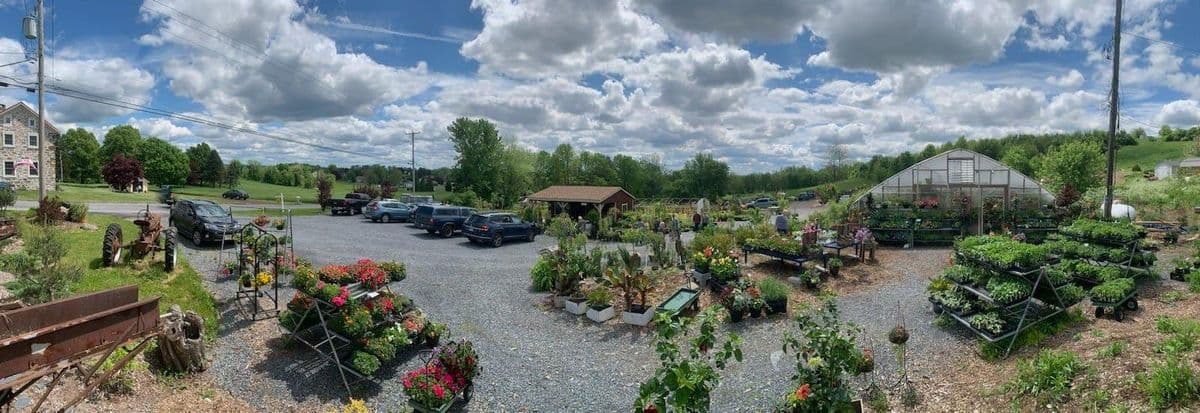 Heinsohn Farms LLC