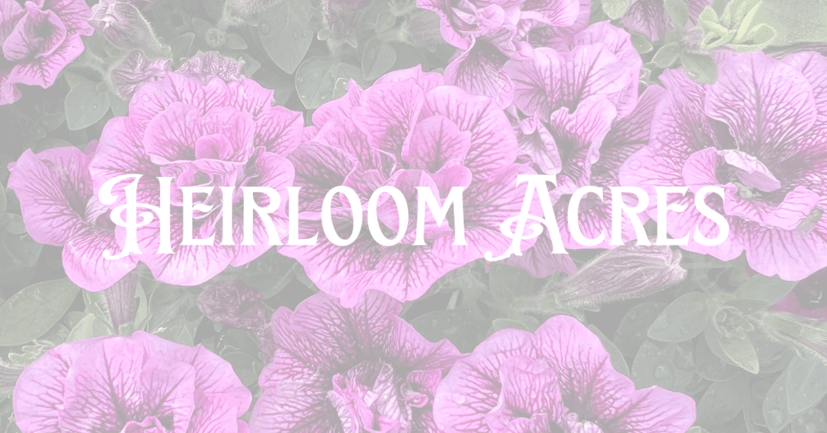 Heirloom Acres at Webb Farms