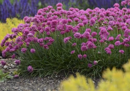 Heller Nursery Inc
