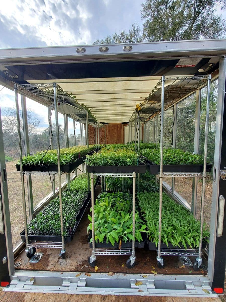 Hello Organics