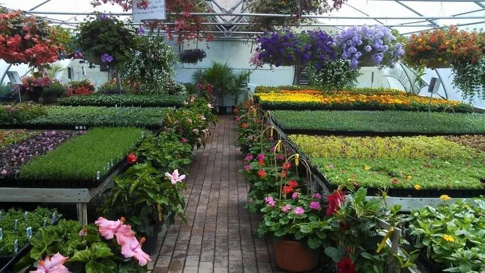 Helminiak's Greenhouse & Landscaping