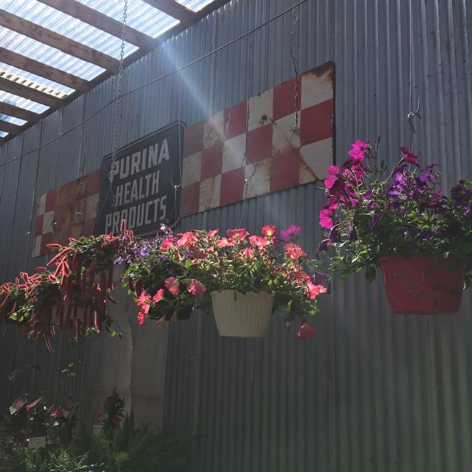 Helms Garden Shop
