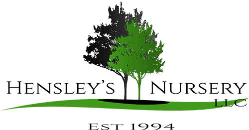 Hensley's Nursery