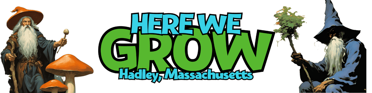 Here We Grow