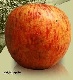 Heritage Apples