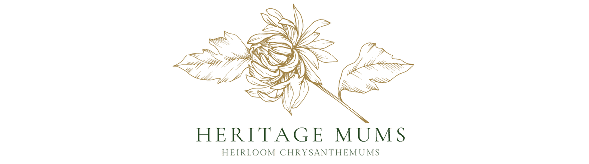 HeritageMums