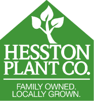 Hesston Plant Company