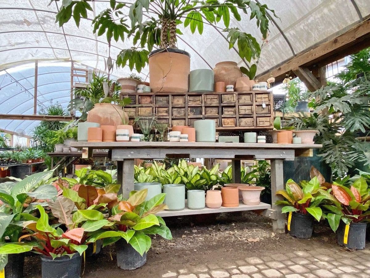 Hewitt Garden and Design Center