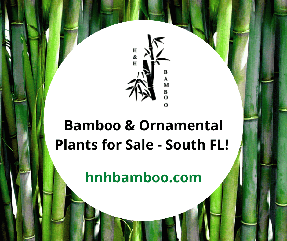 H&H Bamboo