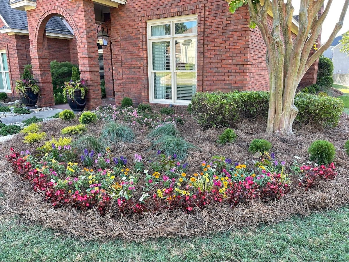 Hickory Grove Nursery