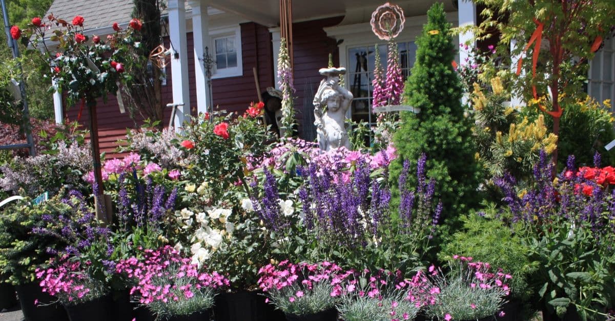 Hickory Hollow Nursery and Garden Center