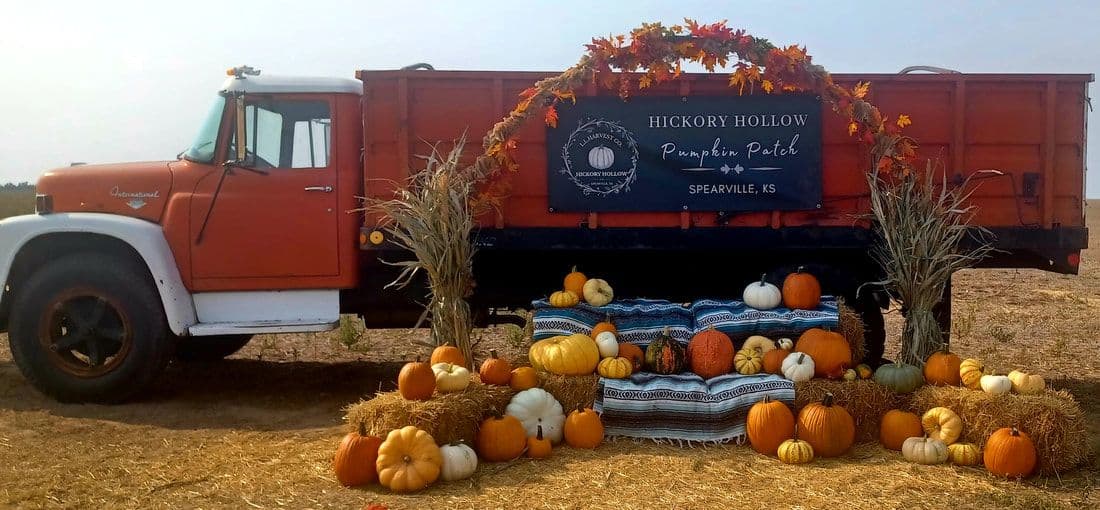 Hickory Hollow Pumpkin Patch