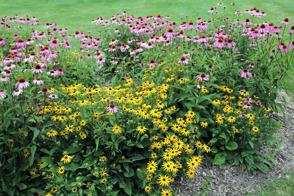 Hidden Lake Gardens