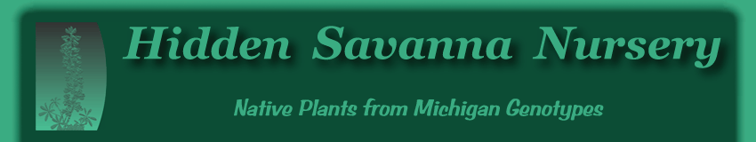 Hidden Savanna Nursery
