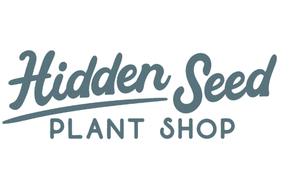 Hidden Seed Plant Shop