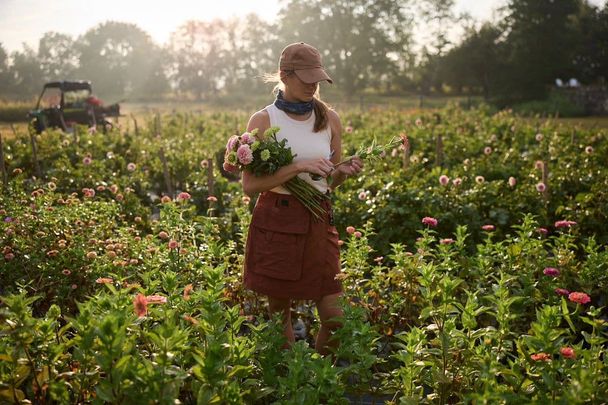 Hidden Springs Flower Farm