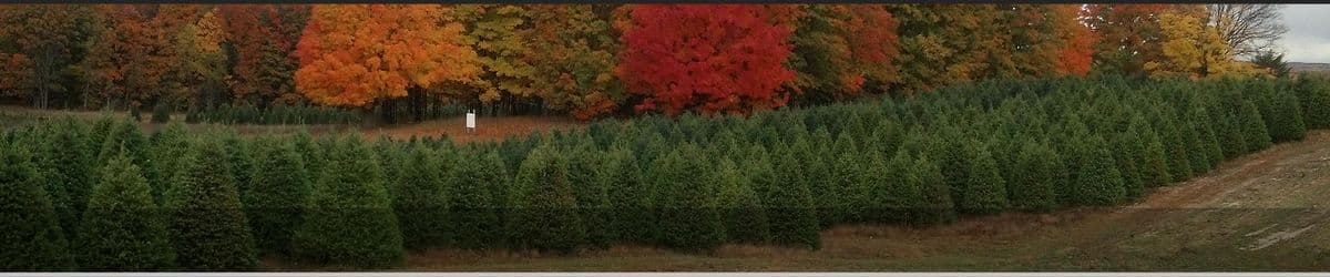 Hidden Valley Tree Farms LLC