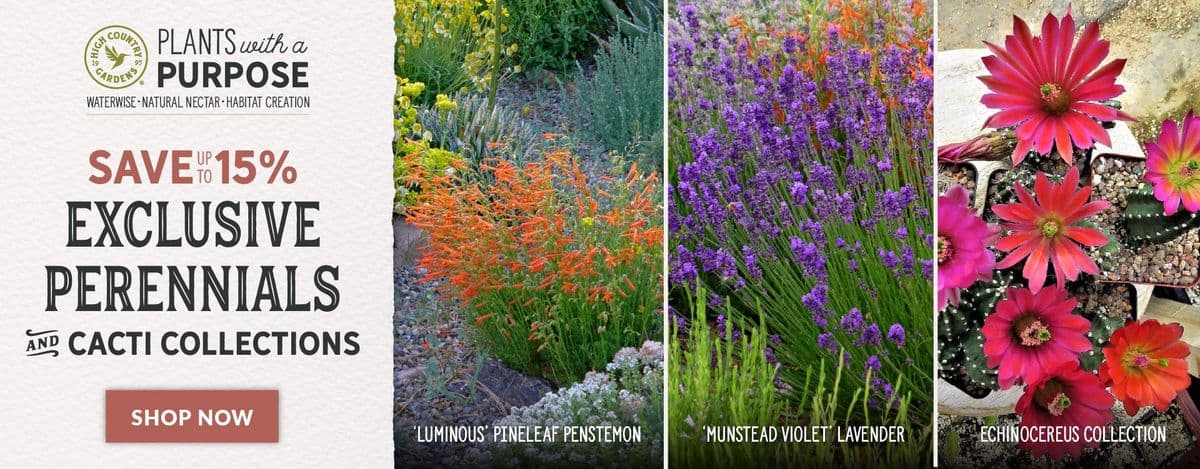 High Country Gardens
