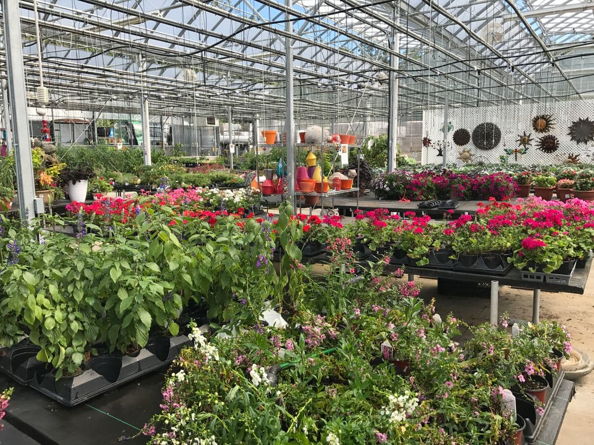 Highland Garden Center