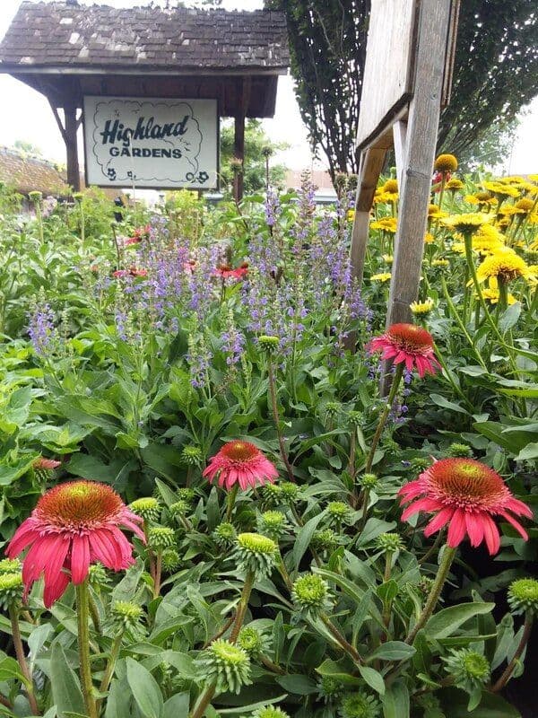 Highland Gardens