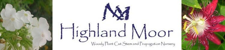 Highland Moor Kentucky