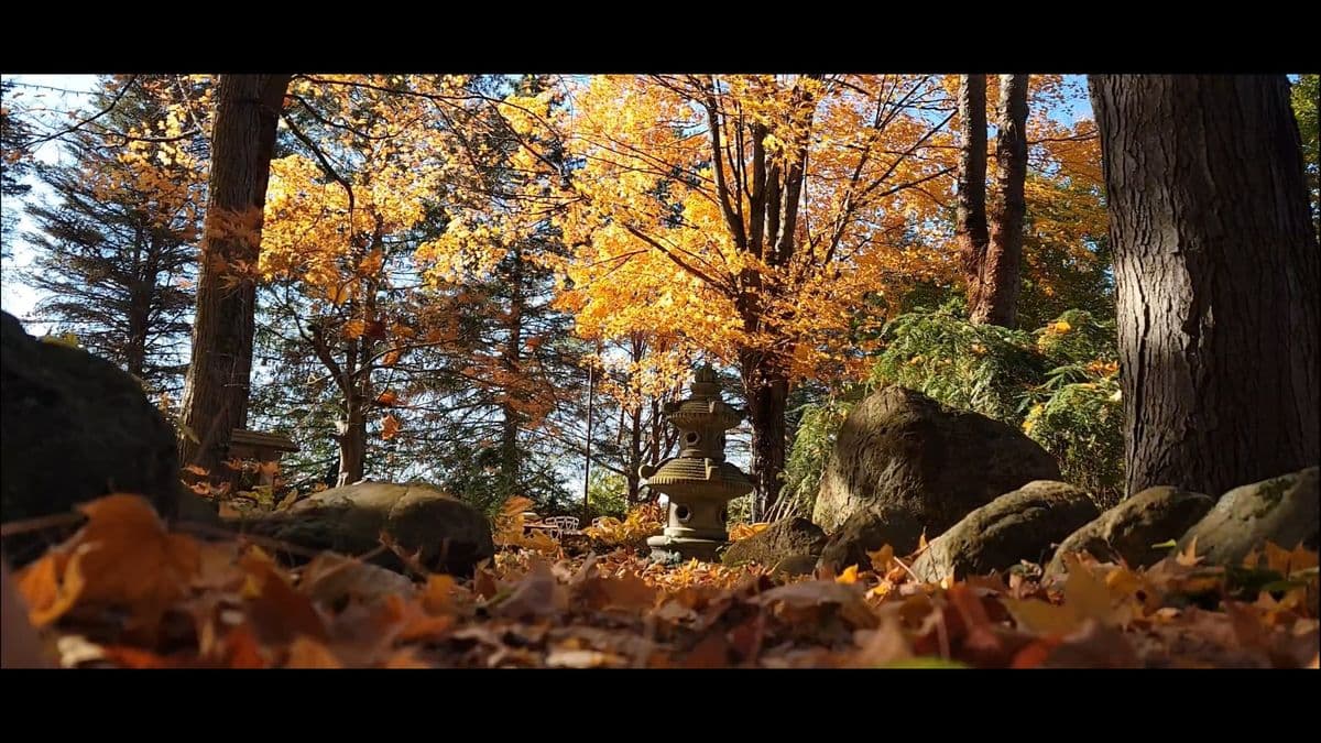 Highland Tree Farm