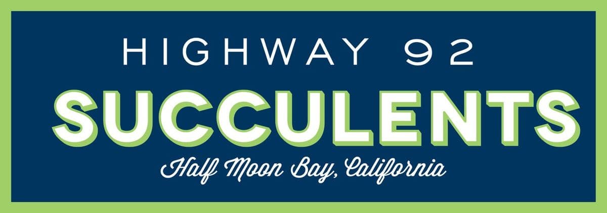 Highway 92 Succulents