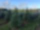 Hill Top Nursery, LLC
